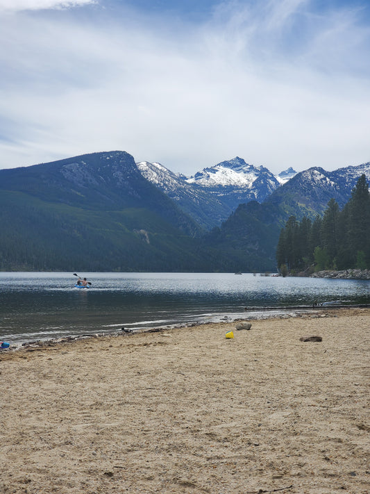 Montana Update