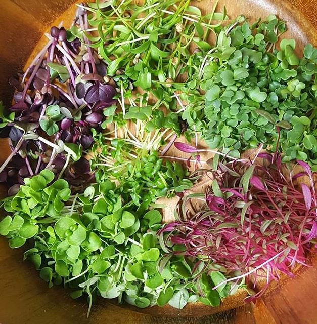 Local Only! Fresh Greens & More