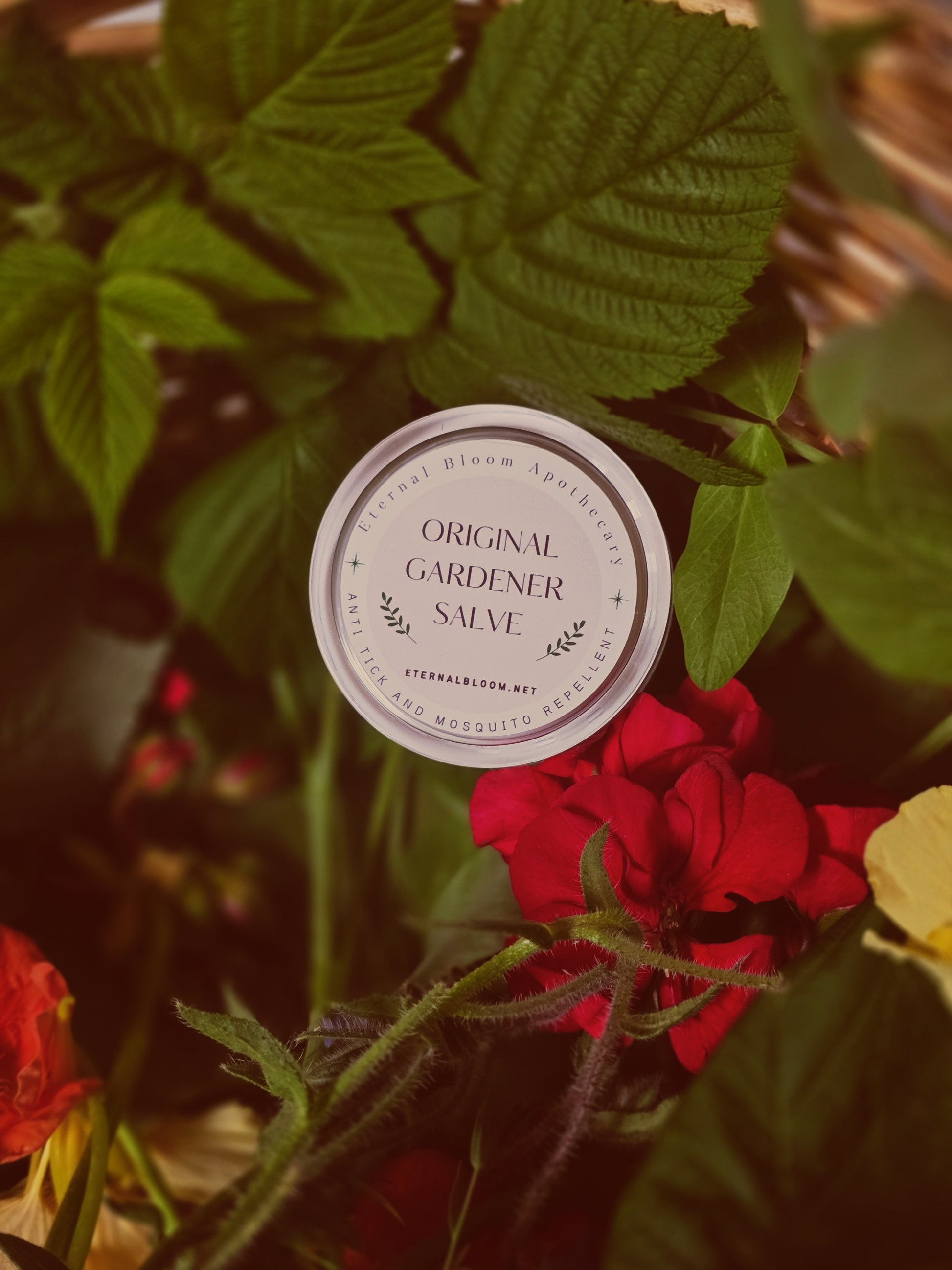 Jar of 'Original Gardener Salve' surrounded by green leaves and red flowers