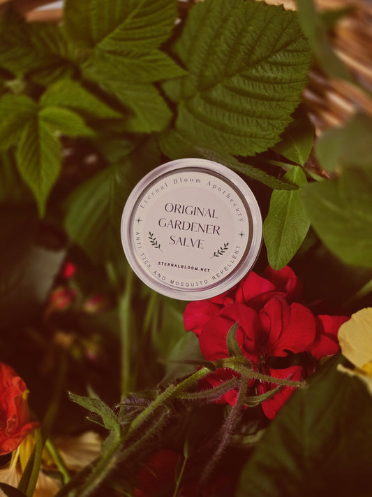 Jar of 'Original Gardener Salve' surrounded by green leaves and red flowers