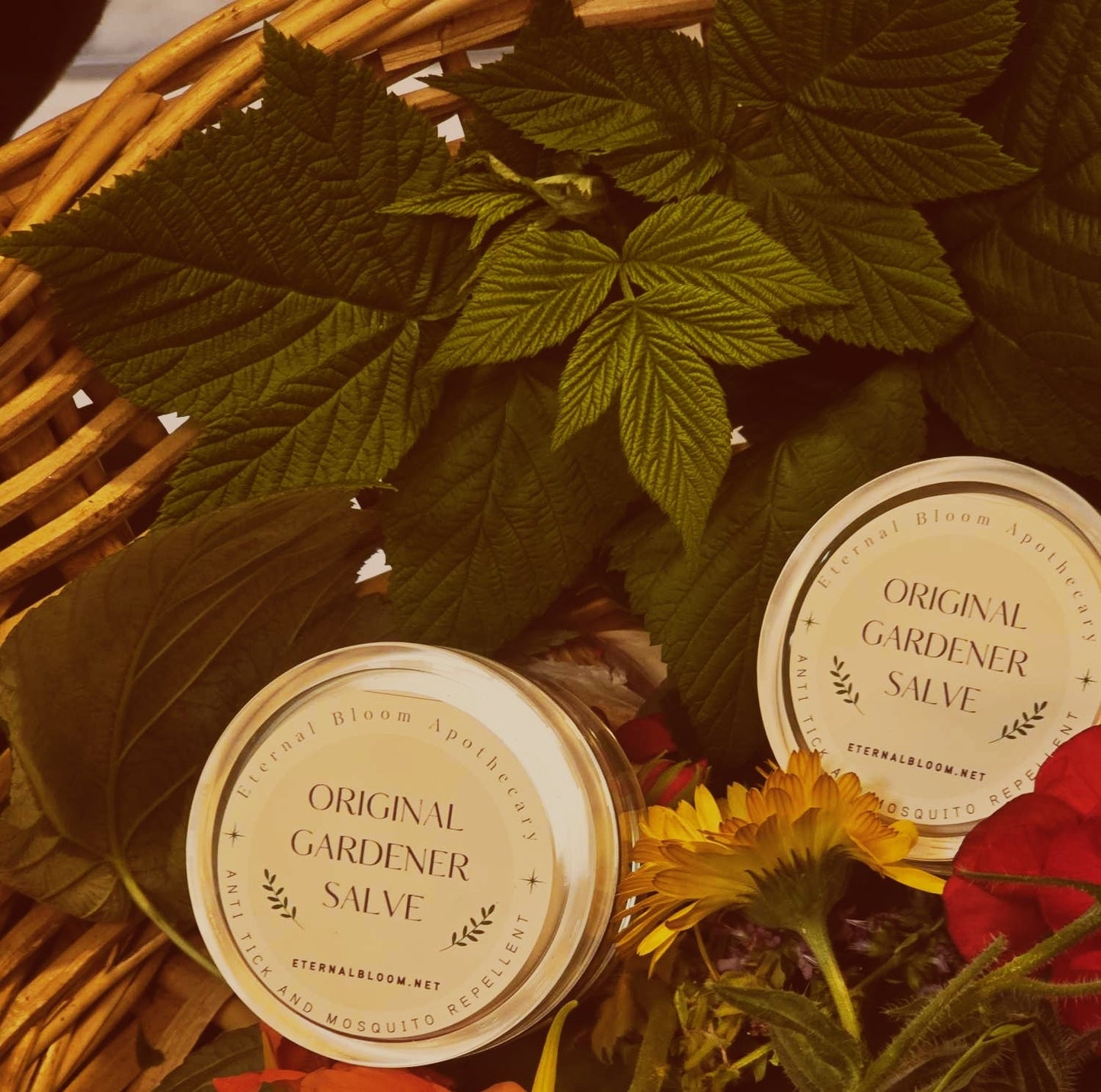 Two jars of 'Original Gardener Salve' surrounded by herbs and flowers on a woven basket.