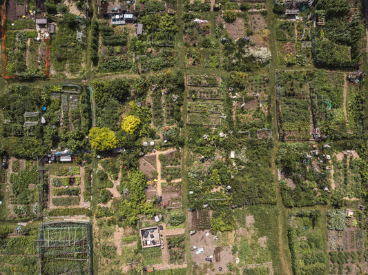 Greenhouse / Homestead / Solar Purchase Consultation